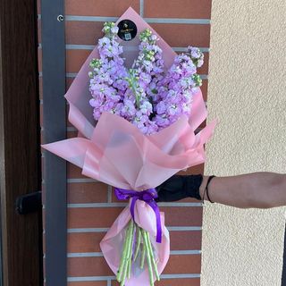Buchet Purple Mathiola 7