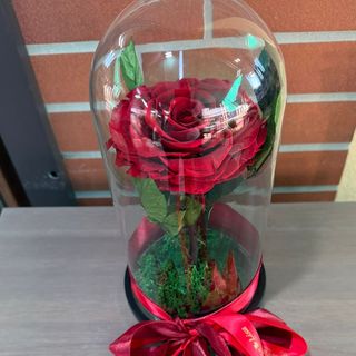 Trandafir Criogenat Rosu