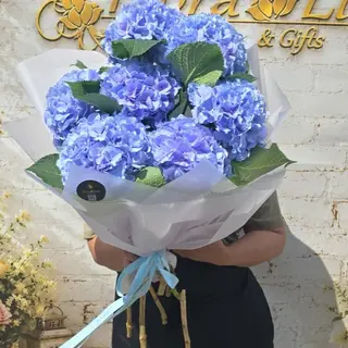 Buchet 7 Hortensii blue