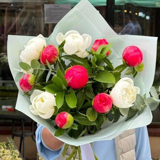 Buchet 11 Bujori