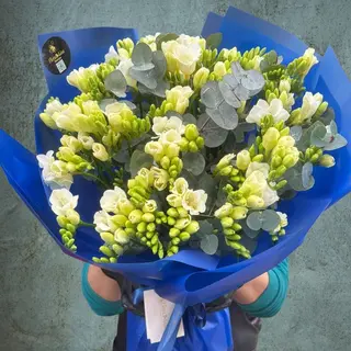 Buchet Frezie