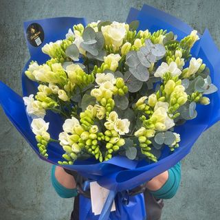 Buchet Frezie