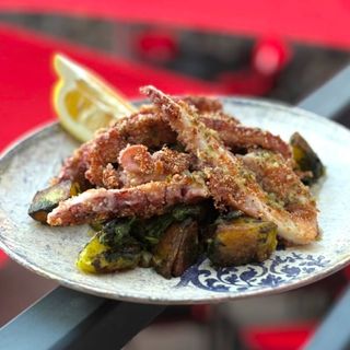 Mediterranean octopus