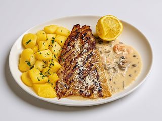 File de salau à la Fayette (650g)