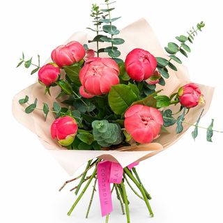 Buchet 7 bujori corai