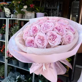 Pink O’hara 