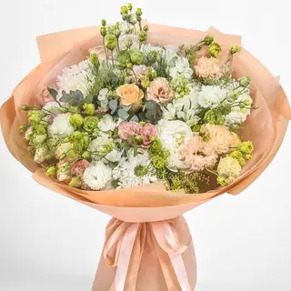 Cream Genista