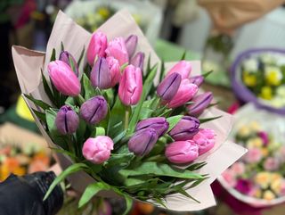 Tulips At The Florists Choice