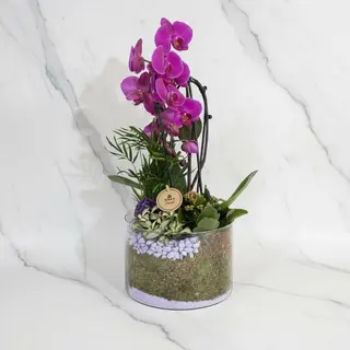 Orchid Glass Arrangement