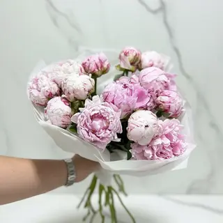 Sarah Bernard Peonies