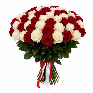 51 Red&white