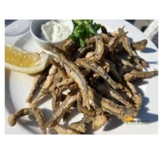 Hamsii