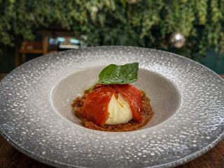 BURRATA PE PAT DE ROSII CONFIATE SI ARDEL ROSU LA CUPTOR ASEZONATE CU IERBURI DE PROVENCE