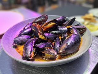 SAUTE DE MIDII NEGRE