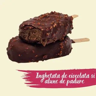 INGHETATA DE CIOCOLATA SI ALUNE DE PADURE