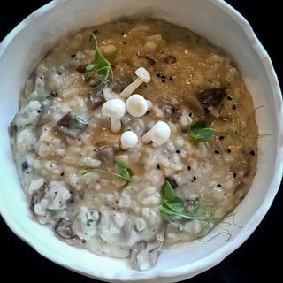 RISOTTO CU CIUPERCI DE PADURE
