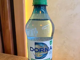 Apa plata