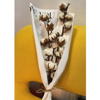 Buchet bumbac pur doar pentru El