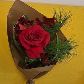 Buchet trandafiri cu pin si arțar