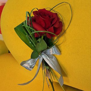 Tribut Solo – 1 Trandafir rosu