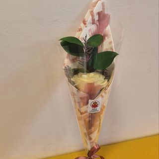 Cornet cu trandafir alb si pene roz