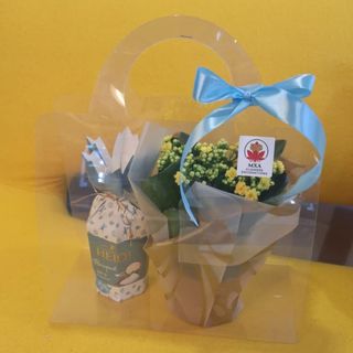 Aranjament in poseta transparenta