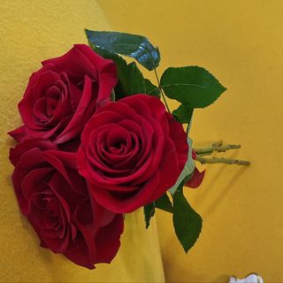 Buchet 3 trandafiri flexati roșii