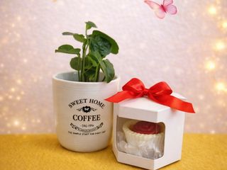 Coffee arabica + 1 martisor tip lumanare