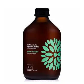 Kombucha Castravete + Coriandru BIO 315ml