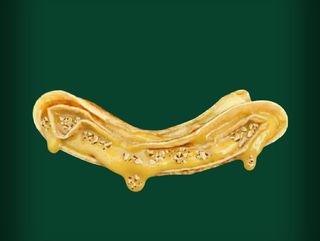 Clatita cu crema vanilie si migdale 260g