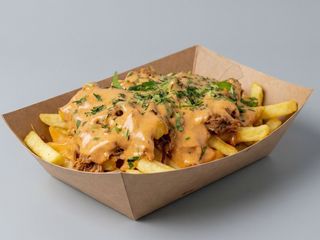 Pulled Pork Fries.