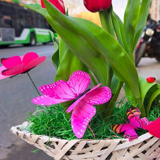 Aranjament Bărcuță