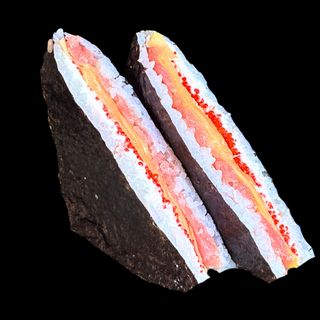 Tuna Sandwich