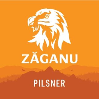 Zăganu Pilsner 330ml