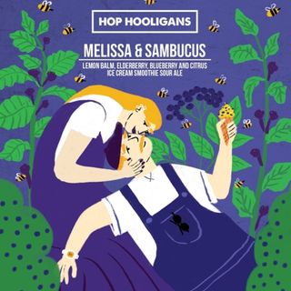 Melissa & Sambucus 500ml