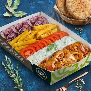 Gyros Box L