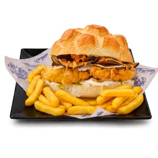 Tartaruga cu cod pane