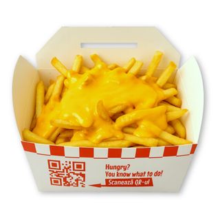 Loaded Fries Cheddar