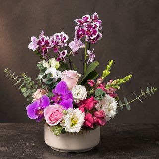 Armonie Florală – Mini-Phalaenopsis & Trandafiri