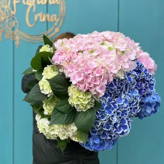 Buchet de flori Gigant Hortensia