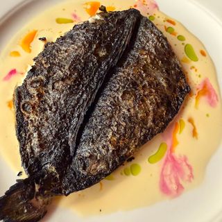 Sea bass fusion
