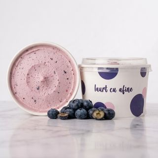 Înghețată artizanală iaurt cu afine 140GR