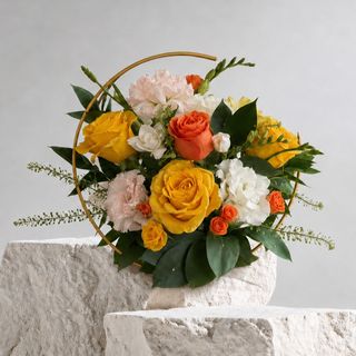 Citrus Garden