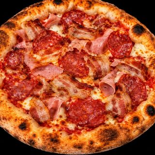 Carnivora