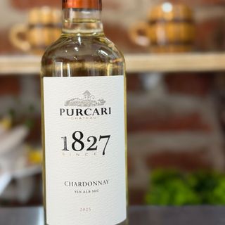 VIN PURCARI