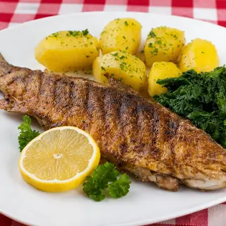 Pastrmka