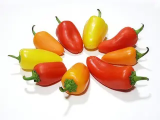 Paprika u ulju