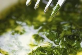 Marinada od peršuna