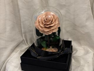 Stakleno zvono sa 'latte rose' FOREVER XXL ružom