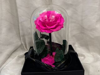 Stakleno zvono sa 'hot pink' FOREVER XXL ružom